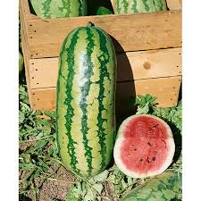 Assorted Vegetables ~ Cucumbers, Melons, Squash, and Okra Vegetables (4.5in)-ServeScape