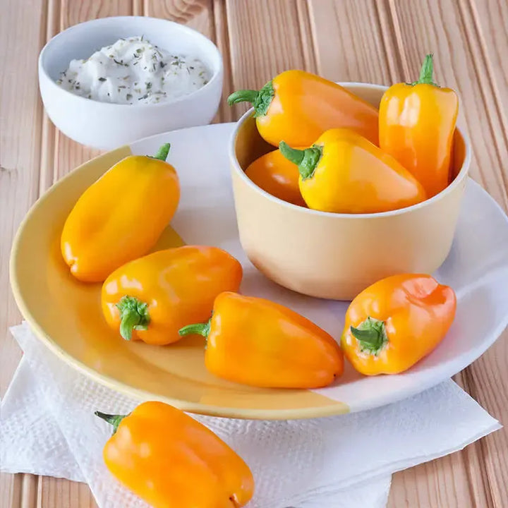 Assorted Peppers ~ Pepper Vegetables (4.5in)-ServeScape