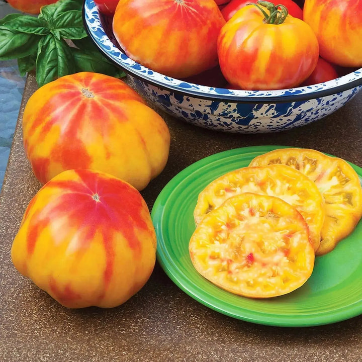 Assorted Tomato & Eggplant ~ Tomato & Eggplant Vegetables (4.5in)-ServeScape
