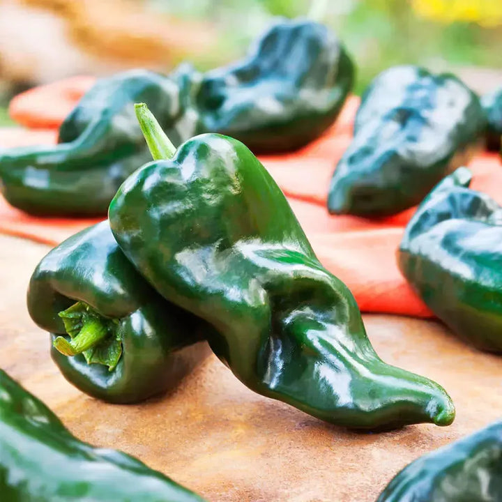 Assorted Peppers ~ Pepper Vegetables (4.5in)-ServeScape