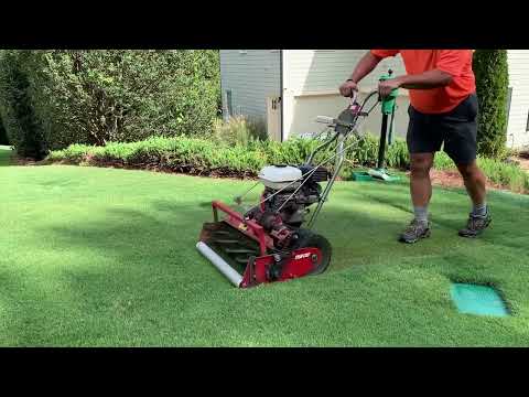 Tahoma 31® ~ Bermudagrass Sod