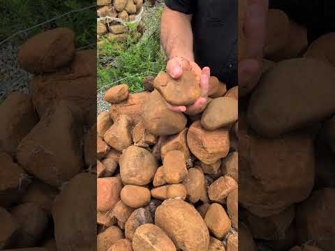 Chester Creek River Rock, Rounds