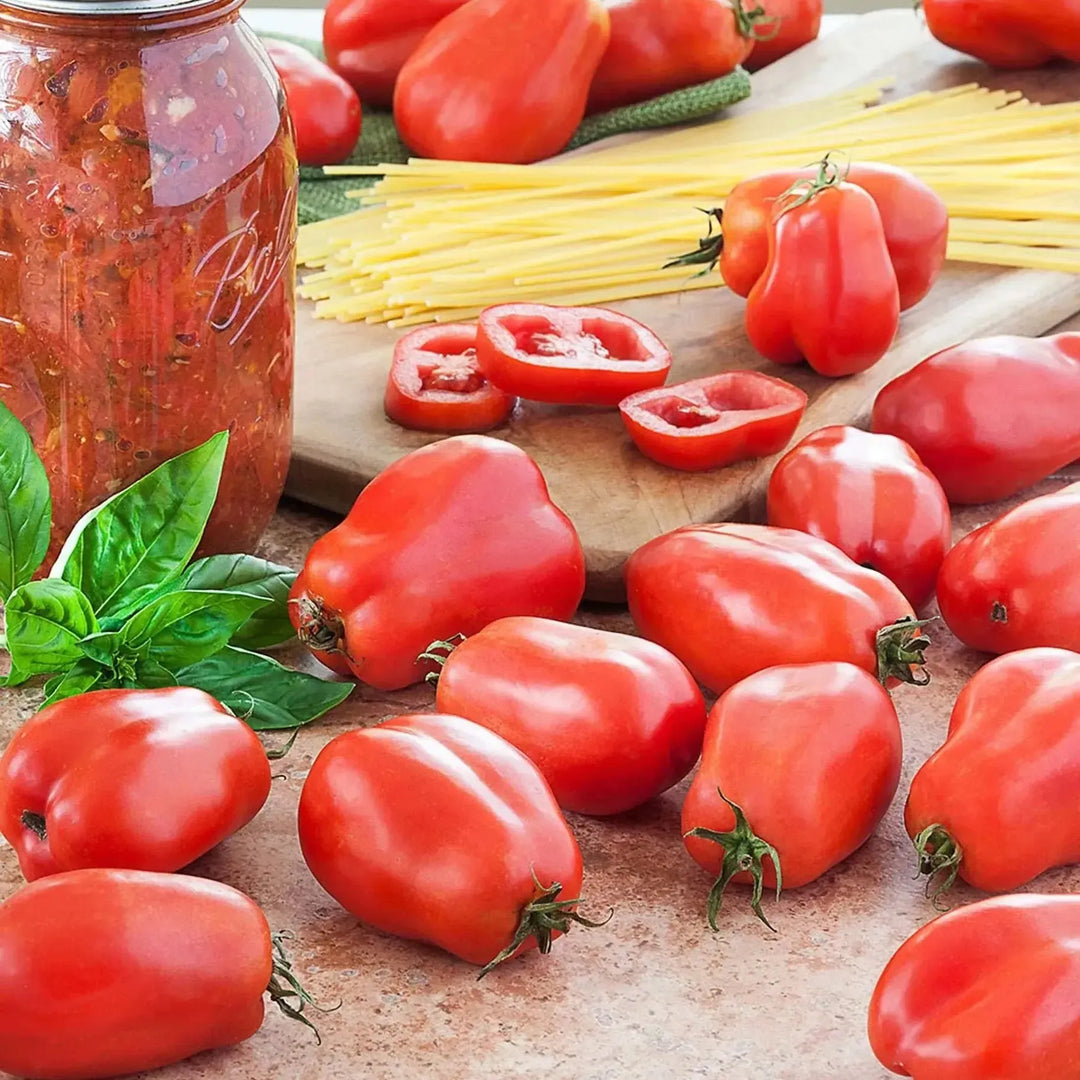 Assorted Tomato & Eggplant ~ Tomato & Eggplant Vegetables (4.5in)-ServeScape