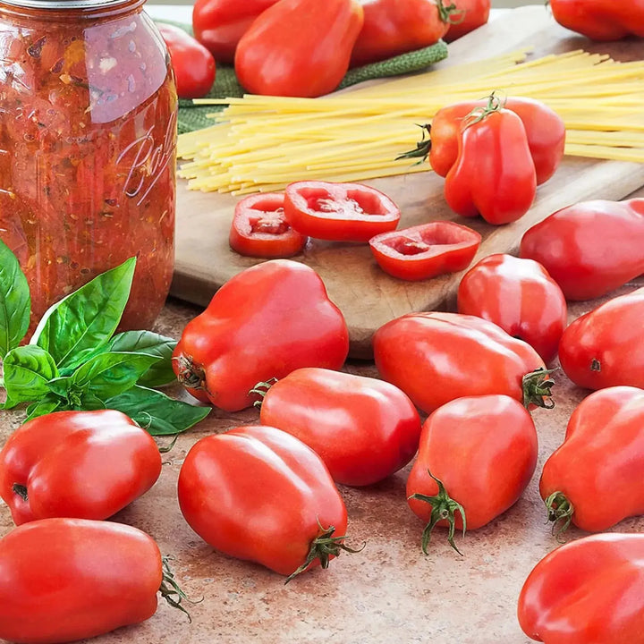Assorted Tomato & Eggplant ~ Tomato & Eggplant Vegetables (4.5in)-ServeScape