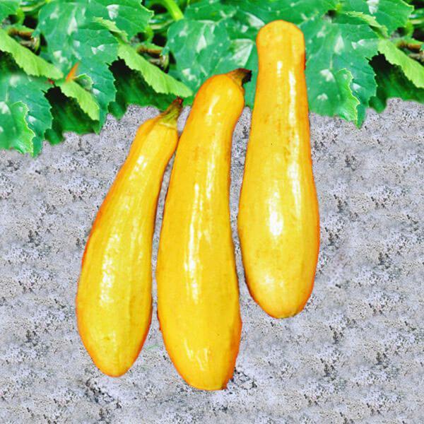 Assorted Vegetables ~ Cucumbers, Melons, Squash, and Okra Vegetables (4.5in)-ServeScape
