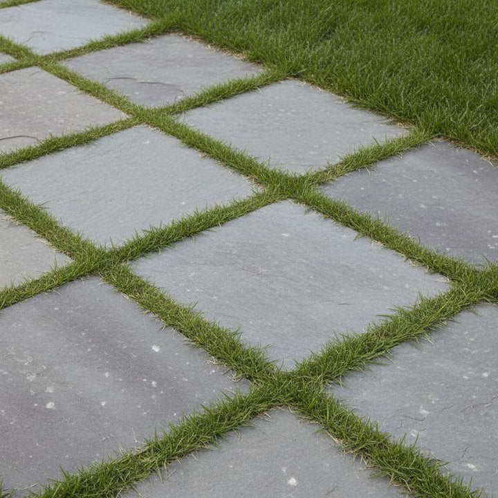 TN Rough Cut Steps-ServeScape