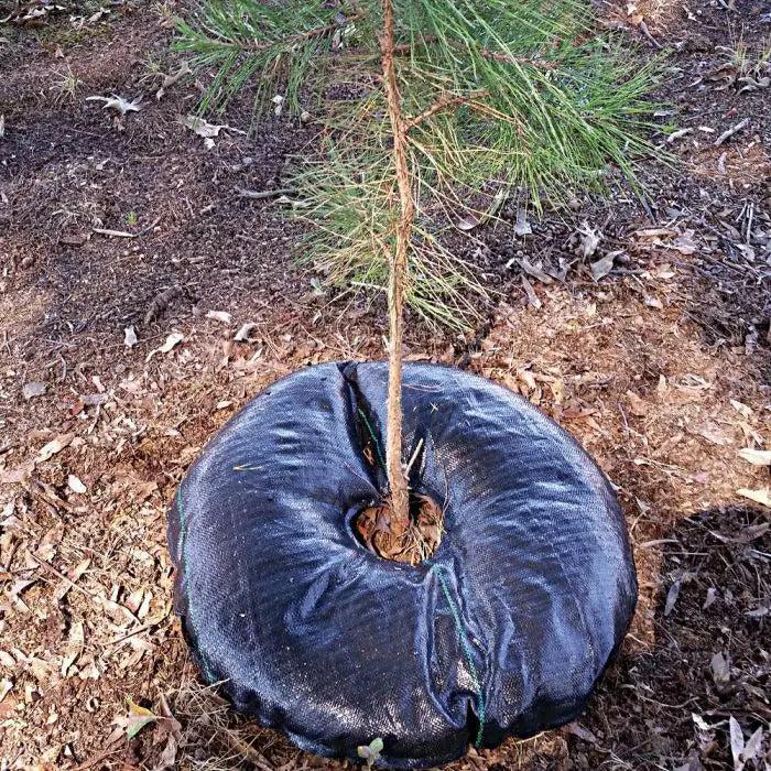 TreeDiaper - Plant Hydration System-ServeScape