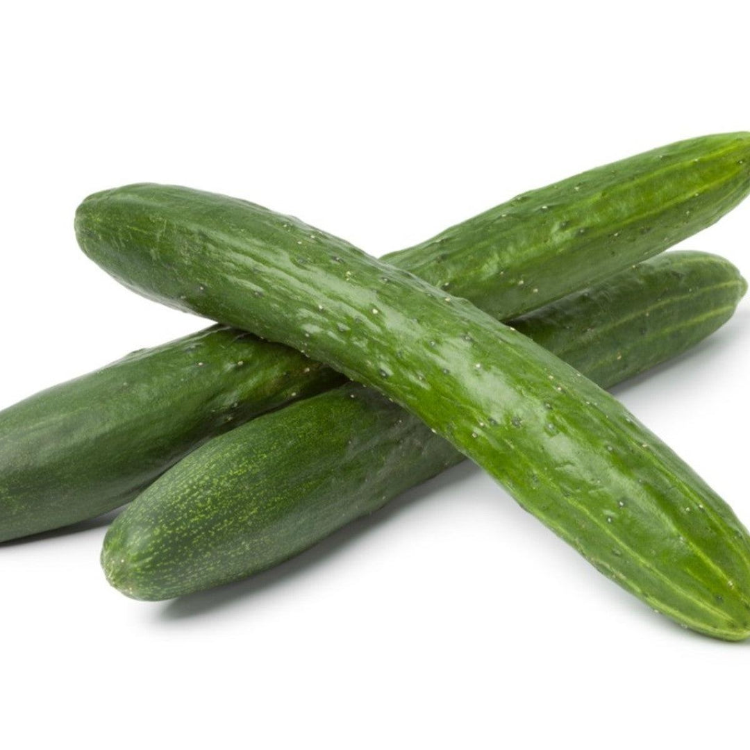 Assorted Vegetables ~ Cucumbers, Melons, Squash, and Okra Vegetables (4.5in)-ServeScape