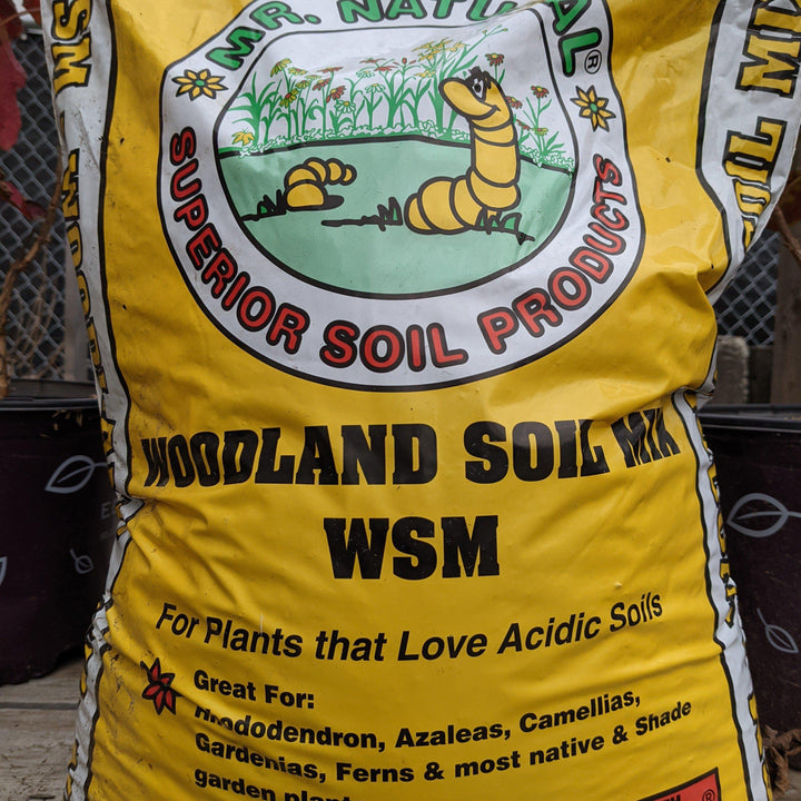 MR. NATURAL® WSM WOODLAND SOIL MIX-ServeScape