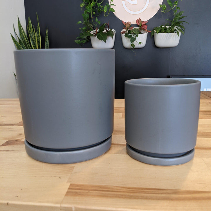 Indoor ~ Dark Gray Ceramic Pot with Saucer-ServeScape