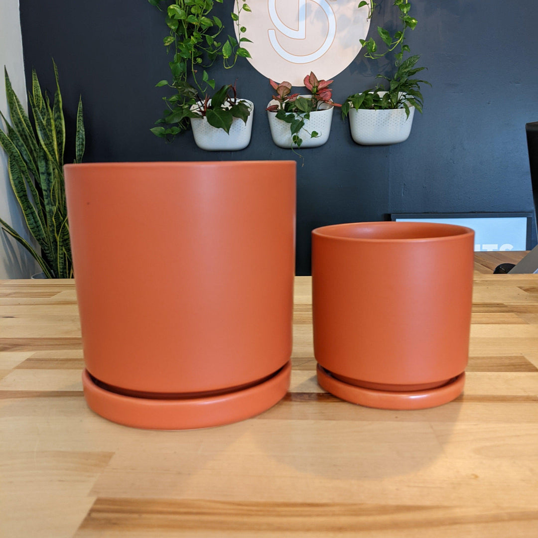 Indoor ~ Orange Ceramic Pot with Saucer-ServeScape