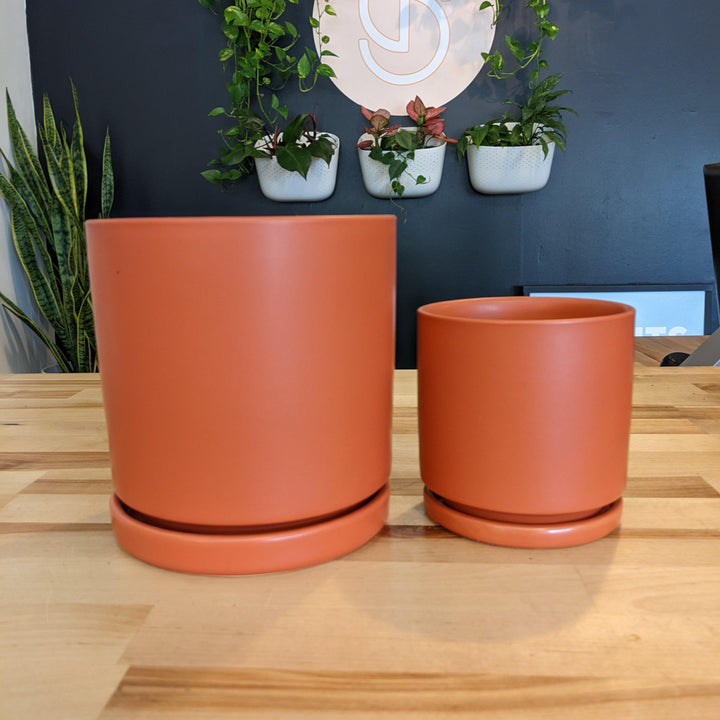 Indoor ~ Orange Ceramic Pot with Saucer-ServeScape