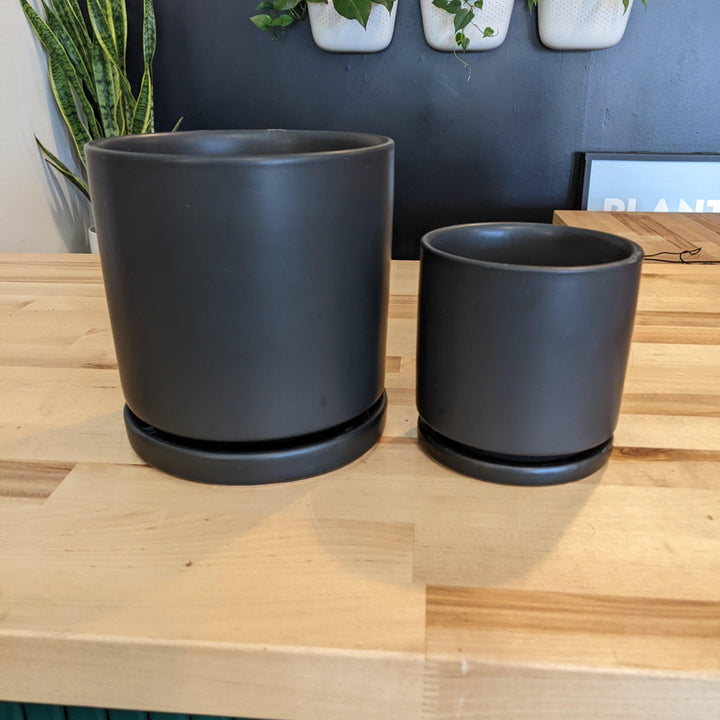 Indoor ~ Black Ceramic Pot with Saucer-ServeScape