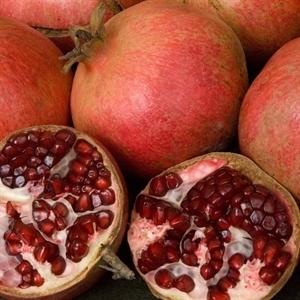 Punica granatum 'Wonderful' ~ Wonderful Pomegranate - Delivered By ServeScape
