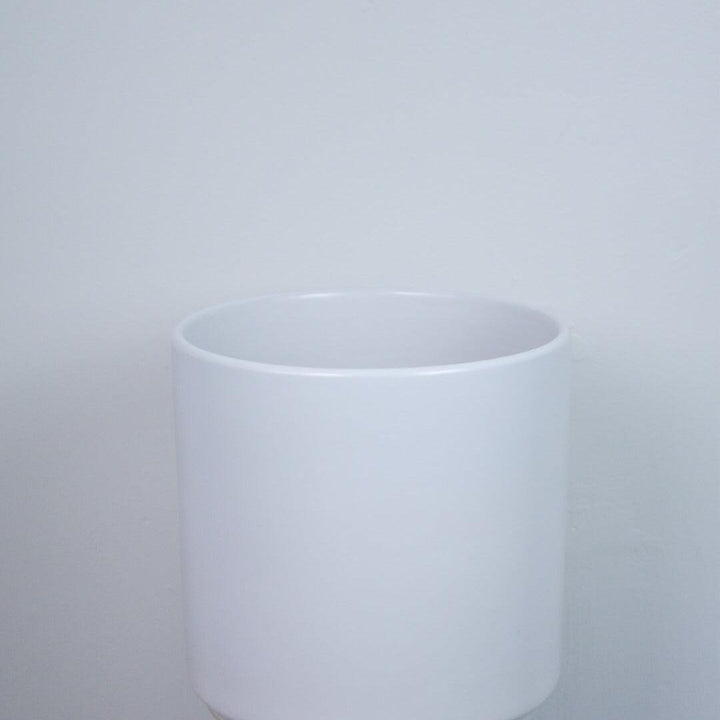Indoor ~ White Cylinder Ceramic Pot-ServeScape